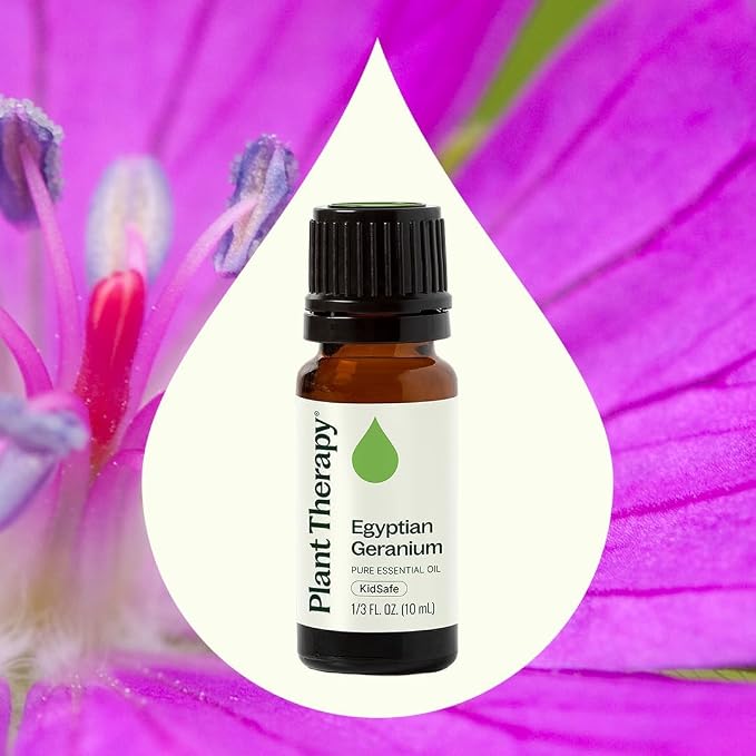 Plant Therapy Egyptian Geranium Essential Oil 10 mL (1/3 oz),100% Pure, Undiluted, Natural Aromatherapy, Stress Relief, Emotional Balance