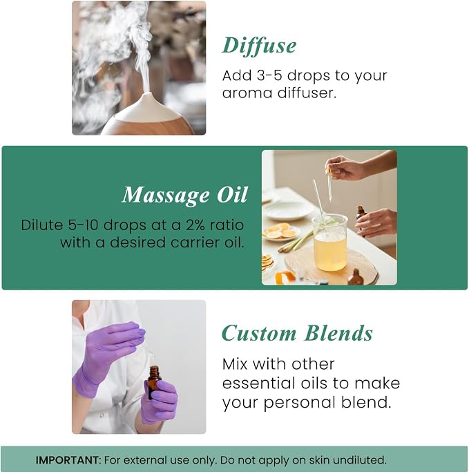 Handcraft Blends Purify & Refresh Set: Eucalyptus and Tea Tree Essential Oils – (2 x 4 Fl Oz) – 100% Pure & Natural – for Diffuser, Aromatherapy, and DIY Projects