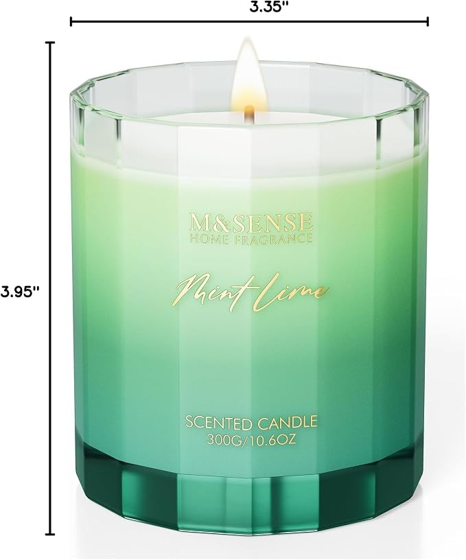 M&SENSE Citronella Mint Soy Candle, 10.6oz Indoor & Outdoor Fresh Scent | Natural Soy Wax, 60-Hour Long Lasting Burn Time, Non Toxic Relaxing Candle for Summer, Stress Relief for Family Friends