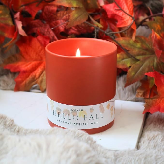 Hello Fall Luxury Candle – Apple Cinnamon, Nutmeg, Clove & Vanilla – Handcrafted Vegan Coconut Wax, Phthalate-Free, Cruelty-Free – Autumn Scented Candle for Home Décor & Gifting (13 oz.)