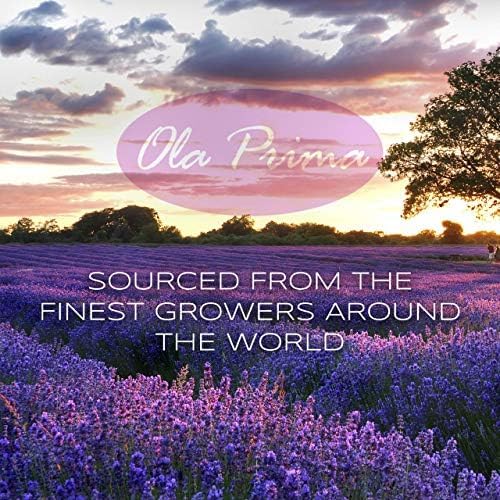 Ola Prima Oils 8oz - Frankincense Essential Oil - 8 Fluid Ounces - Frankincense Oil Therapeutic Grade