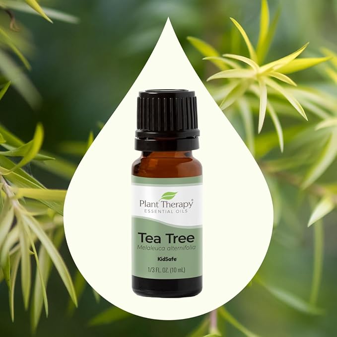 Plant Therapy Tea Tree Essential Oil Roll-On, 10 mL (1/3 oz), Pre-Diluted for Ready-to-Use Convenience, Naturally Soothes Skin Blemishes
