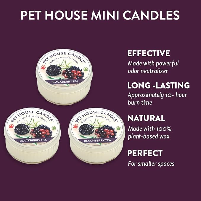 Pet House Mini Candles for Pet Odor Made with Natural Soy Wax, Plant Based, Dog and Cat Friendly Scented, BlackBerry Tea Pack of 3