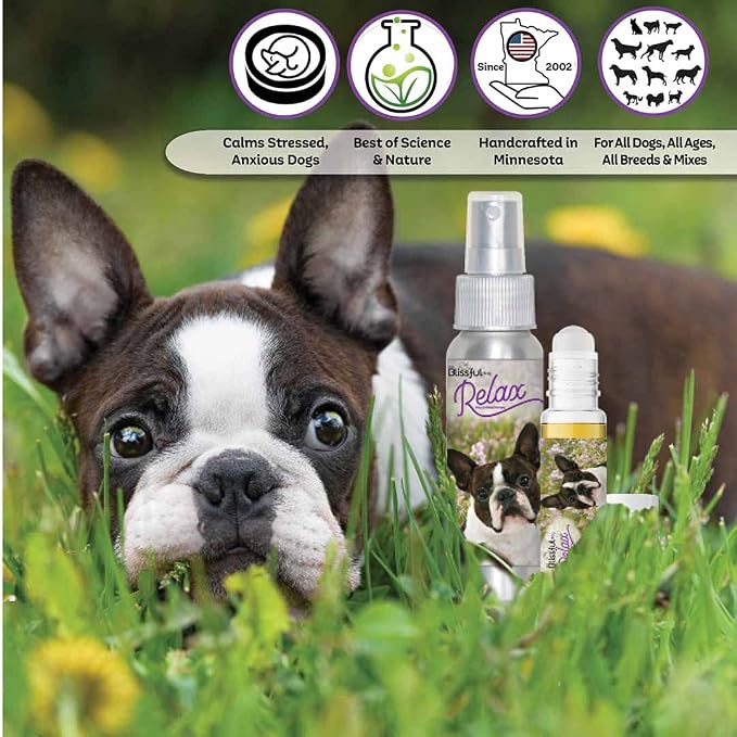 The Blissful Dog Boston Terrier Dog Relax Roll-ON Aromatherapy for Dogs - Anxiety Relief for Dogs