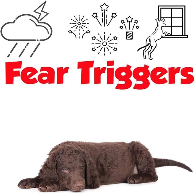 The Blissful Dog All Natural Curly-Coat Retriever Relax Dog Aromatherapy Spray