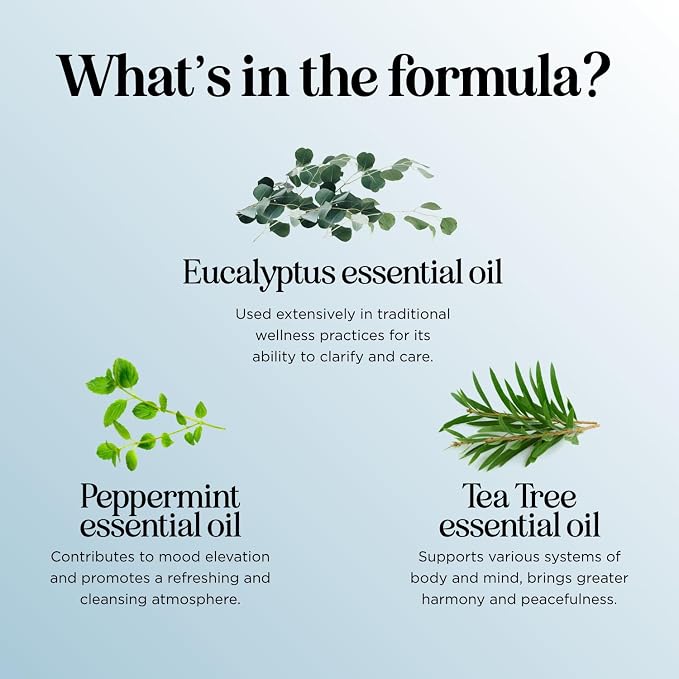 Breathe Essential Oil Roll On - Aromatherapy Essential Oil Roller with Invigorating Essential Oils - Refreshing Essential Oil Blend with Eucalyptus Peppermint Spearmint & Tea Tree Oils (3 Pack)
