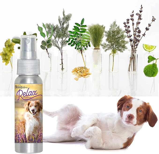 The Blissful Dog Brittany Spaniel Relax Dog Aromatherapy Spray for Your Dog's Anxiety
