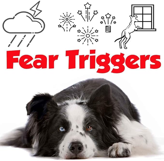 The Blissful Dog Border Collie Relax Dog Aromatherapy Spray for Your Dog's Anxiety
