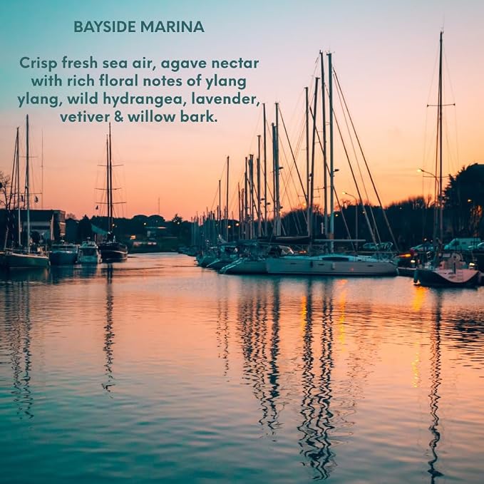 Bayside Marina from Our Beach Collection - Perfect for Adding Aroma to Freshies, Candles, Soaps, and Diffusers - 4 oz