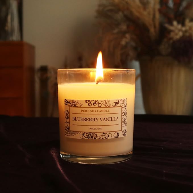 Aronica Blueberry Summer Candles for Home, Pet Safe Candles Non Toxic, House Decor Aesthetic, Regalos De Verano para UNA Casa, Labor Day Small Gift, Home Air Freshener for New Home
