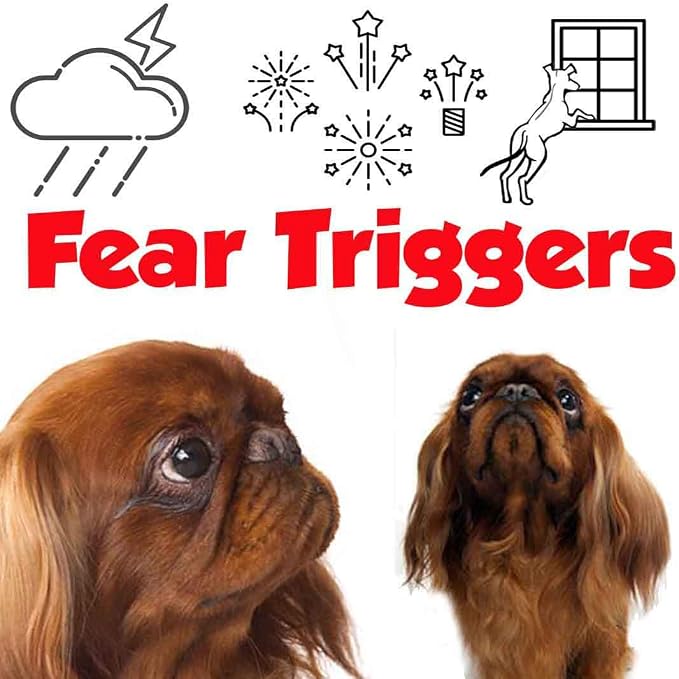 The Blissful Dog English Toy Spaniel Relax Dog Aromatherapy Spray for Your Dog's Anxiety