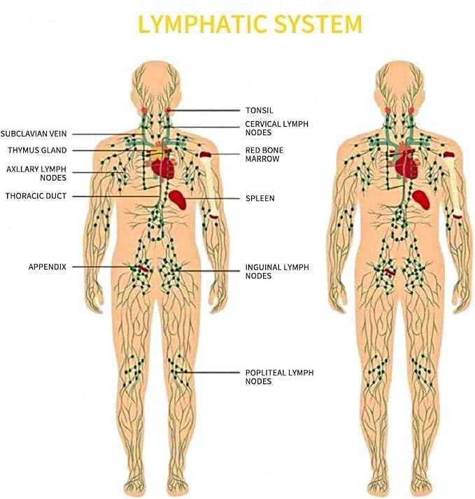 Lymphatic Drainage,Massage Oil for Massage Therapy,Ginger Oil,Ginger Massage Oil for Lymphatic Drainage Massager,Natural Body Oil for Skin,Arnica Oil,Sore Muslce Massage Oil-Warming and Relaxing