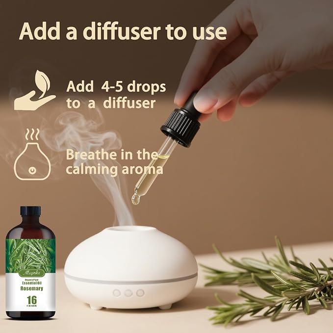 Rosemary Essential Oil, Rosemary Oil for Hair Care, Diffuser, Humidifier, Massage, DIY Soap, Candle, Cleaning, Focus, Gift Ready, Rosemary Fragrance Oil - MLYNKL Essential Oils (16.33 fl oz / 490ml)