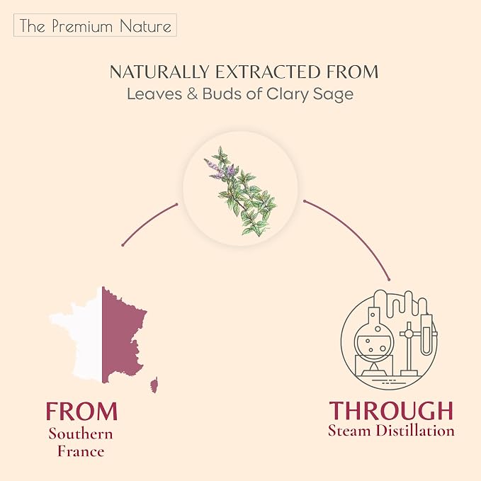 Organic Clary Sage Essential Oil | 100% Pure & Natural Salvia sclarea Flowering Herb Oil with Soft Herbal Aroma | for Diffuser, Candle Making & DIY Aromatherapy Blends, 0.34 fl oz