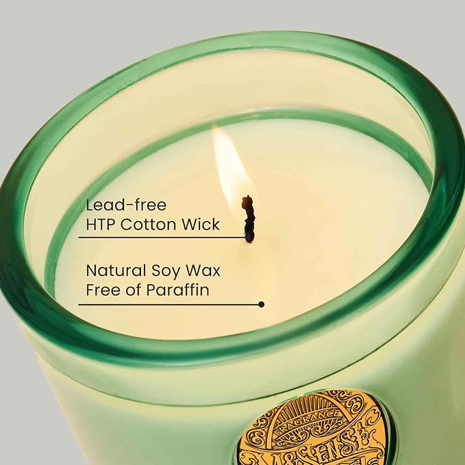 M&SENSE Eucalyptus Mint Aromatherapy Scented Candle for Relaxation |Soy Wax Candle | Calming & Stress Relief | 9.2 OZ, 50-Hour Burn Time | Natural Scent for Home, Office, Gift