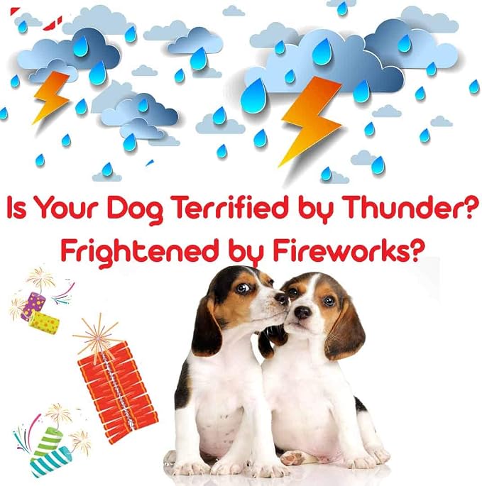 The Blissful Dog Beagle Relax Dog Aromatherapy Spray for Your Dog's Anxiety