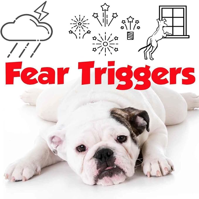 The Blissful Dog Bulldog Relax Aromatherapy Spray for Your Dog's Anxiety
