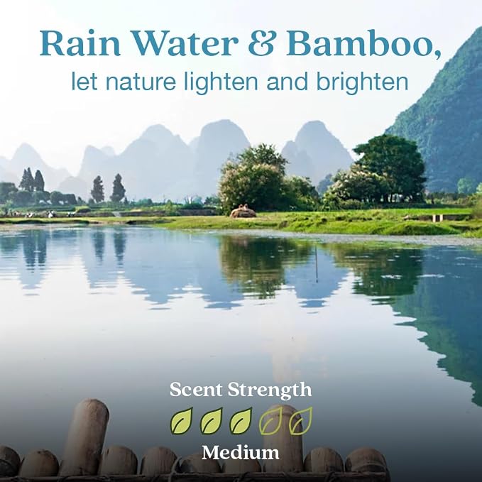 Enviroscent Non-Toxic Air Freshener Scent Stix™ & Stand Kit - Liquid-Free Diffuser Kit - Includes Mango Wood Stand & Scent Stix™ Refill - Fragrance Lasts Up to 30 Days - Rainwater & Bamboo