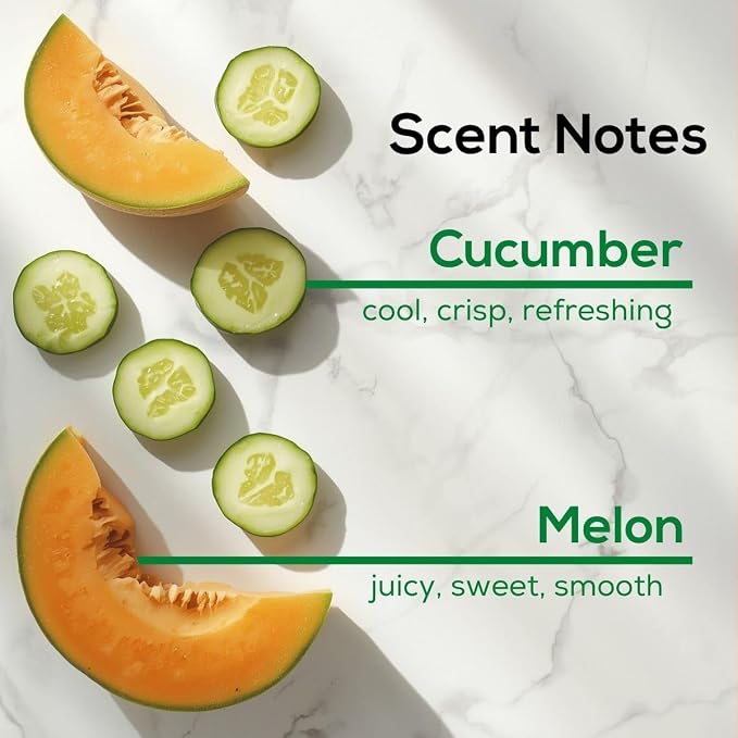 Scent Fill Cucumber Melon Plug in Air Freshener, Scented Oil Refills, 2 Refills + Diffuser