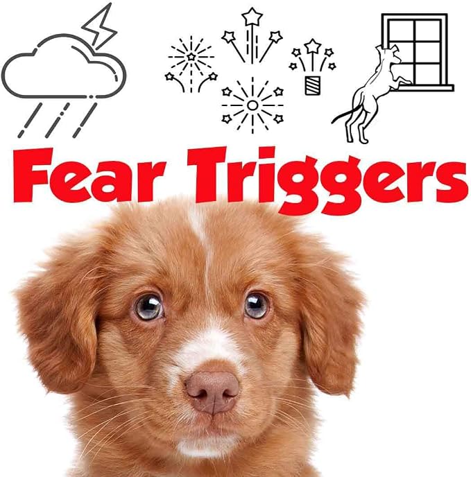 The Blissful Dog Nova Scotia Duck Tolling Retriever Relax Dog Aromatherapy Spray for Your Dog's Anxiety