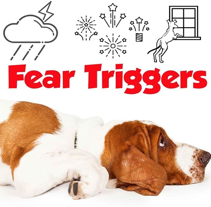 The Blissful Dog Basset Hound Relax Dog Aromatherapy Spray for Your Dog's Anxiety