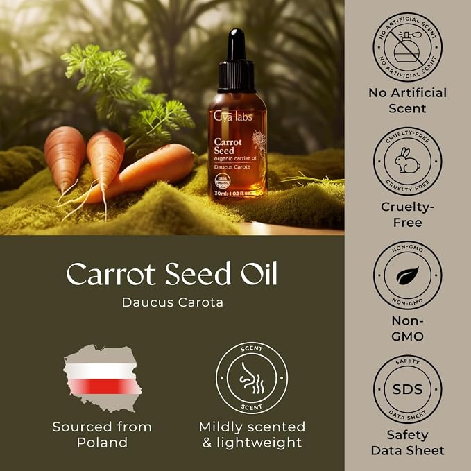 Gya Labs USDA Organic Carrot Seed Oil - 1 Fl Oz - Carrier Oil for Hair, Skin, Face, Scalp & Body Massage