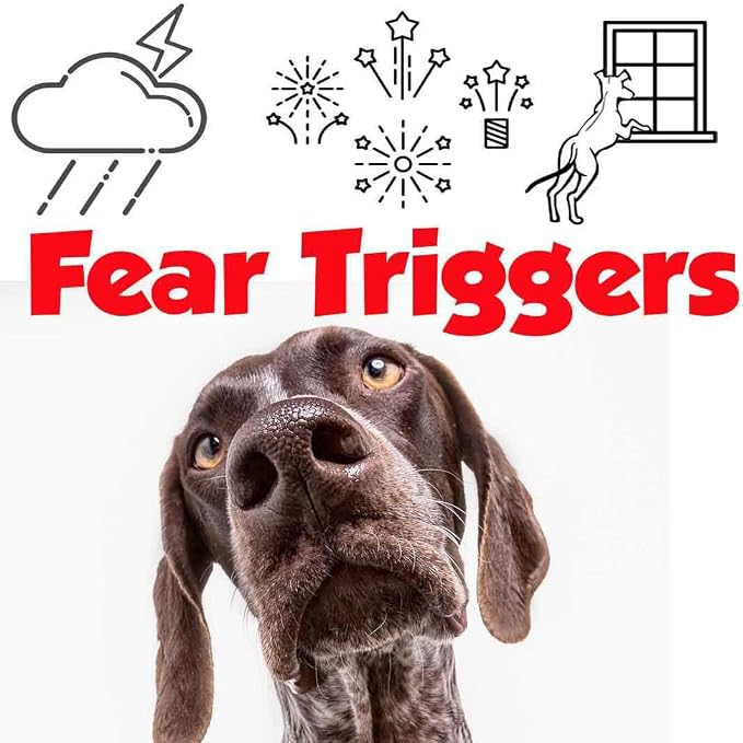 The Blissful Dog German Shorthaired Pointer Relax Dog Aromatherapy Spray for Your Dog's Anxiety