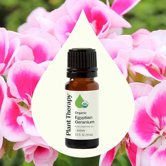 Plant Therapy Organic Egyptian Geranium Essential Oil 100% Pure, USDA Certified Organic, Undiluted, Natural Aromatherapy, Therapeutic Grade 10 mL (1/3 oz)