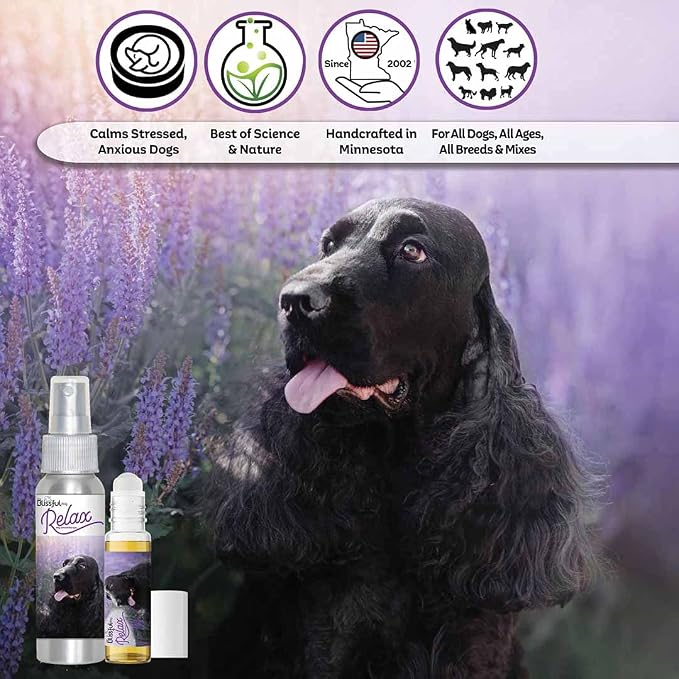 The Blissful Dog English Cocker Spaniel Relax Roll-ON Aromatherapy for Dogs - Anxiety Relief for Dogs