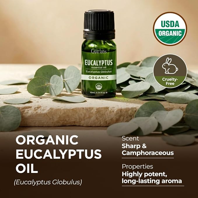 Gya Labs USDA Organic Eucalyptus Essential Oil for Diffuser & Seasonal Comfort - for Skin, Massages, Hair & Scalp Care, Aromatherapy, DIY Candle Making Scents - 0.34 Fl Oz