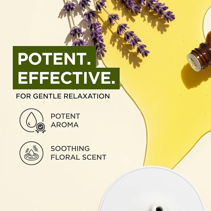 Gya Labs Lavender Essential Oil for Aromatherapy – 0.34 Fl Oz – Premium Grade Essential Oils for Diffuser, Aromatherapy, Hair Care, Skin Care, Body, Massage & DIY Candle Making Scents (Pack of 2)