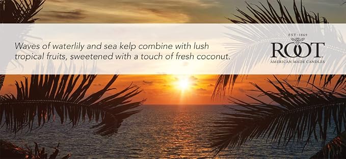 Root Candles Scented Candles in Travel Tin 24-Hour Honeycomb Traveler Handcrafted Beeswax Blend Candle, 4-Ounce, Coastal Sunrise