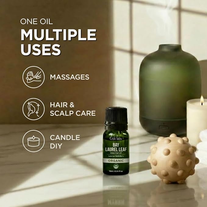 Gya Labs USDA Certified Organic Bay Leaf Essential Oil for Massages, Skin, Hair, Diffuser, Aromatherapy, DIY Candle Making Scents - 0.34 Fl Oz