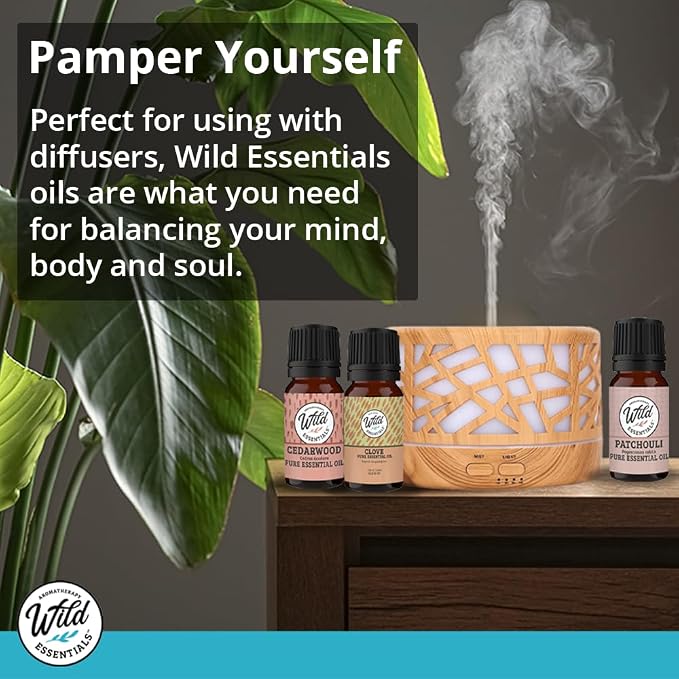 Wild Essentials Anise Star 100% Pure Essential Oil 2 Pack - 10ml, Therapeutic Grade, Made and Bottled in The USA
