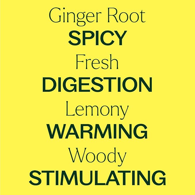 Plant Therapy Ginger Root CO2 Essential Oil 30 mL (1 oz), 100% Pure, Undiluted, Digestion Support and Aromatherapy