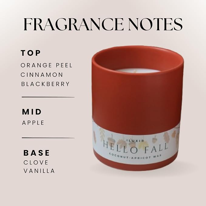 Hello Fall Luxury Candle – Apple Cinnamon, Nutmeg, Clove & Vanilla – Handcrafted Vegan Coconut Wax, Phthalate-Free, Cruelty-Free – Autumn Scented Candle for Home Décor & Gifting (13 oz.)