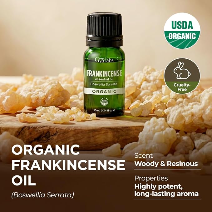 Gya Labs USDA Certified Organic Frankincense Essential Oil - Boswellia Serrata for Skin, Diffuser, Meditation, Aromatherapy, DIY Candle Making Scents - 0.34 Fl Oz