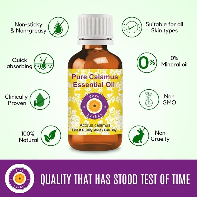 dève herbes Calamus Essential Oil (Acorus Calamus) Pure | Non-Sticky | Non-Greasy | Lightweight | Men & Women | All Skin Types | Steam Distilled 100ml (3.38 oz)