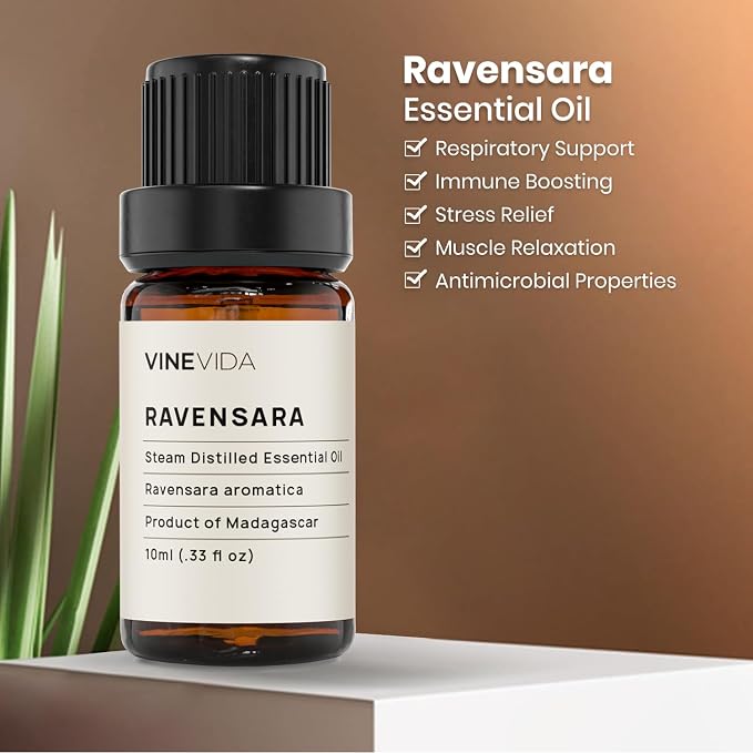 VINEVIDA Ravensara Essential Oil - Undiluted Ravensara Candle Oil Scent - DIY Candle Scents for Candlemaking - Skin-Safe 10 mL Essential Oil for Soap Making