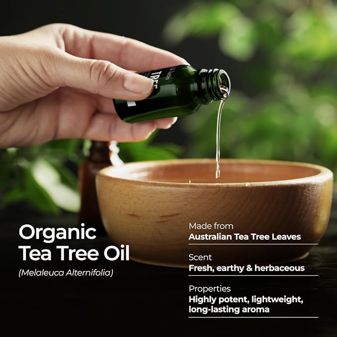 Gya Labs Organic Tea Tree Essential Oil - 0.34 Fl Oz - for Skin, Hair, Diffuser, Aromatherapy, DIY Candle Making Scents (Pack of 2)