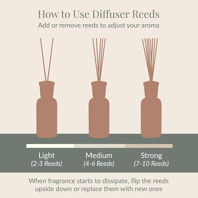 Archipelago Botanicals Charcoal Rose Reed Diffuser, Home Fragrance Reed Diffuser, Includes Fragrance Oil, Decorative Wooden Cap & 10 Diffuser Reeds, Perfect for Home, Office or Gift, 7.85 fl oz