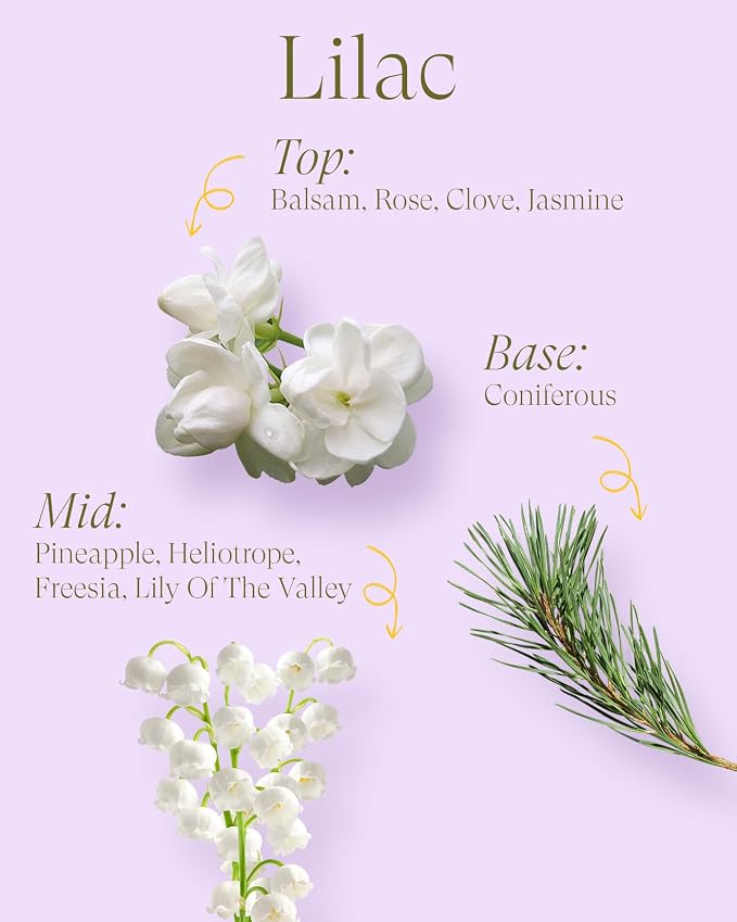 M&SENSE Dual-Wicks Lilac Scented Candles 12oz | 2 Wick Spring Soy Candle, Natural Soy Wax, Floral Scented, Mother's Day Candle, Birthday Candle for Women