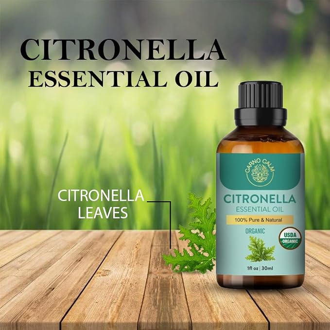 Citronella Essential Oil 30ML | for Diffuser | for Body | for Skin | 100% Pure Natural | Steam Distilled | Therapeutic Grade 1 fl oz