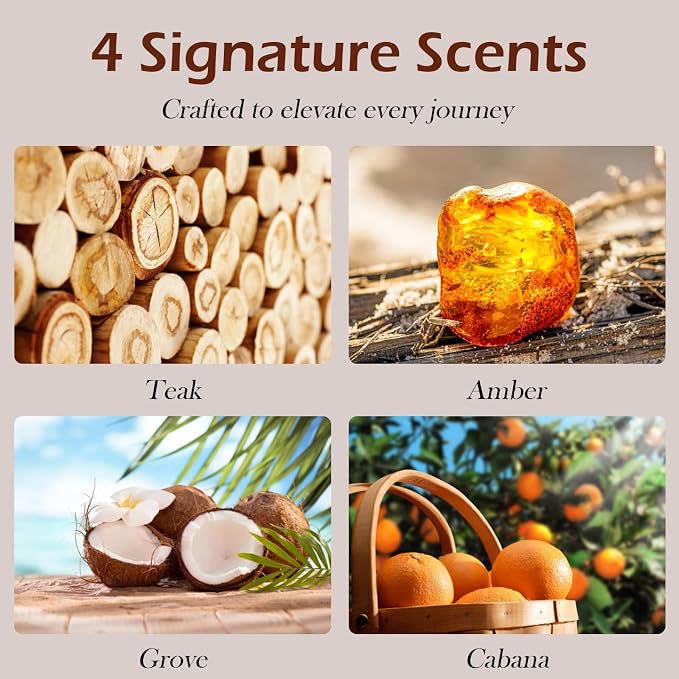 Car Air Freshener, Wood Air Freshener for Visor Clip, Long Lasting Car Odor Eliminator, Vehicle Scent Diffuser for Cars, Trucks & SUVs, 4 Pack Variety Scents with 2 Clips (Teak Amber Cabana Grove)