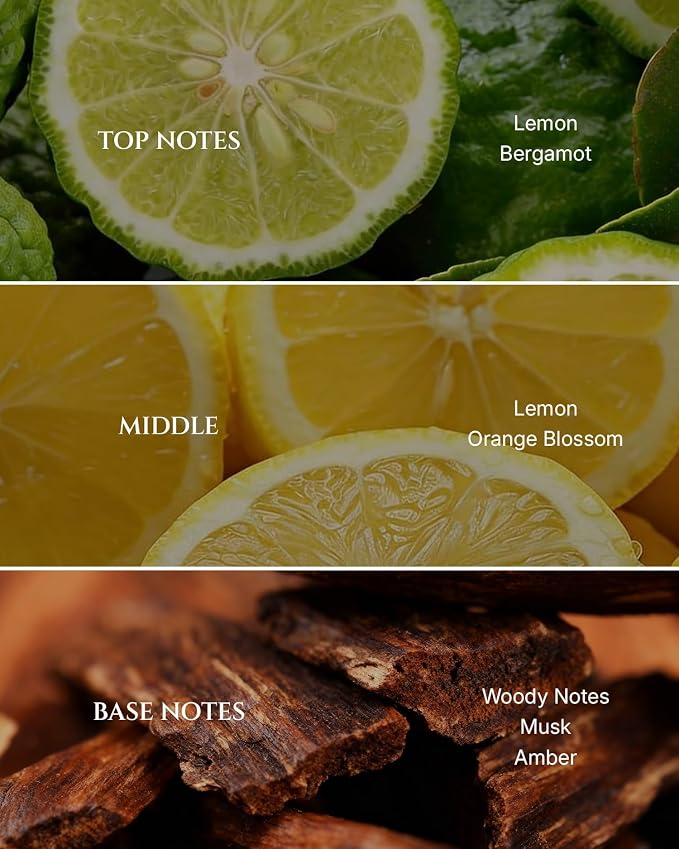 Aromadd Citrus Hotel Diffuser Oil Inspired by Luxury Hotel Scent, Premium Fragrance Oils for Waterless Diffuser, Luxury Lemon & Bergamot, Long-Lasting Home Fragrance - 6.76 fl oz (200 mL)