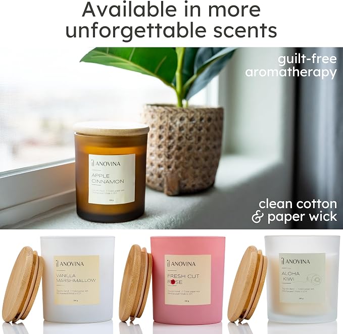 Anovina Apple Cinnamon Candles – Cozy Apple & Cinnamon Scented Candle – Non-Toxic Soy Wax, Long-Lasting Fall & Christmas Home Décor, Holiday Gifts for Women & Home Fragrance