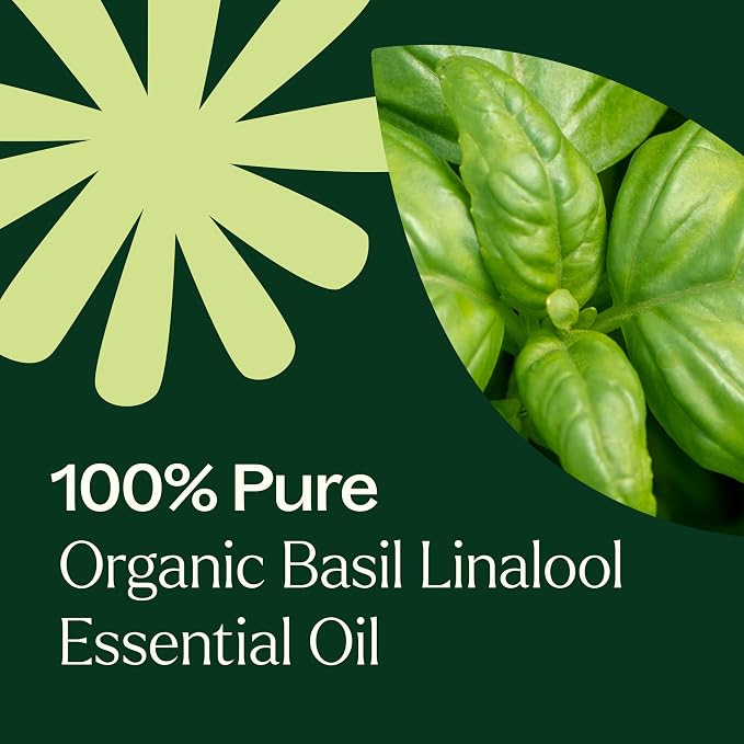 Plant Therapy USDA Certified Organic Basil Linalool Essential Oil 10 mL (1/3 oz) 100% Pure, Undiluted, Aromatherapy, for Muscle Soreness and Digestive Discomfort
