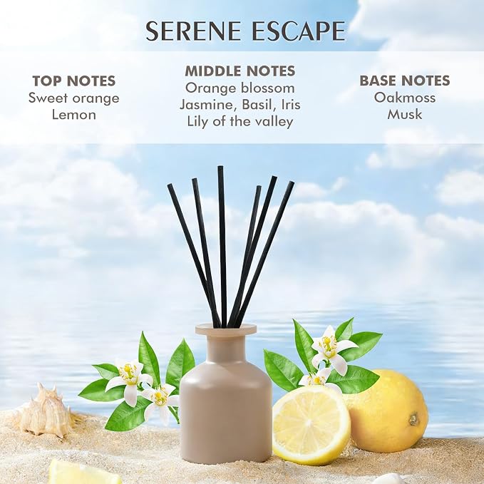 Reed Diffuser Set with Serene Escape Scent,100ml(3.38 oz) Oil Diffuser with 6 Reed Sticks,Long-Lasting Fragrance for Home,Bathroom,Office, for Home Decor Enthusiasts