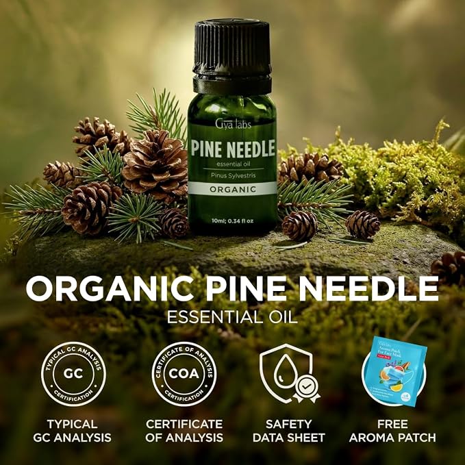 Gya Labs Organic Pine Needle Essential Oil - 0.34 Fl Oz - for Skin, Hair, Diffuser, Aromatherapy, DIY Candle Making Scents