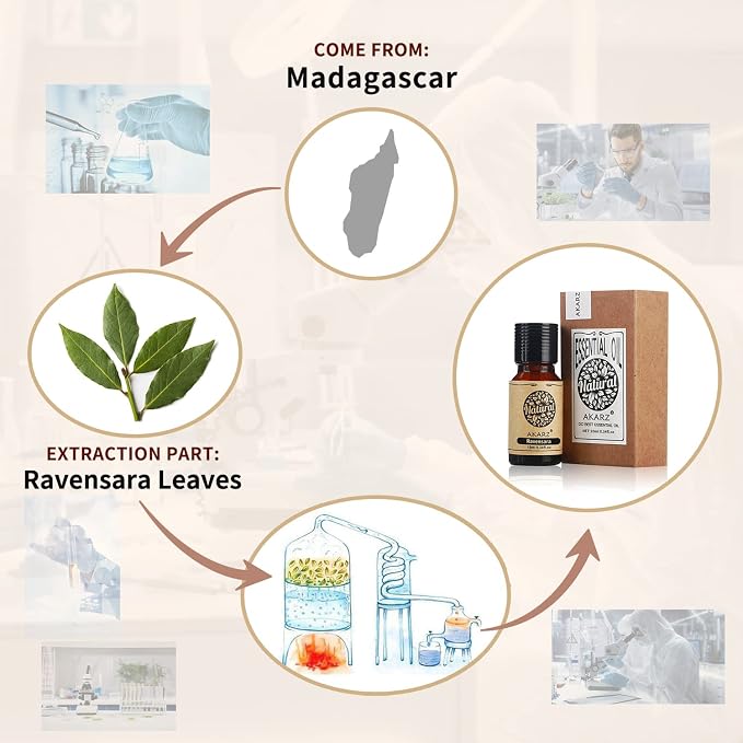 AKARZ Ravensara Essential Oil Natural Organic Pure Premium Therapeutic Ravensara Oil for Skin Body Hair Care,Diffuser, Candle,Soap,Making, DIY,Massage Aroma 0.34 Fl Oz (10ml)